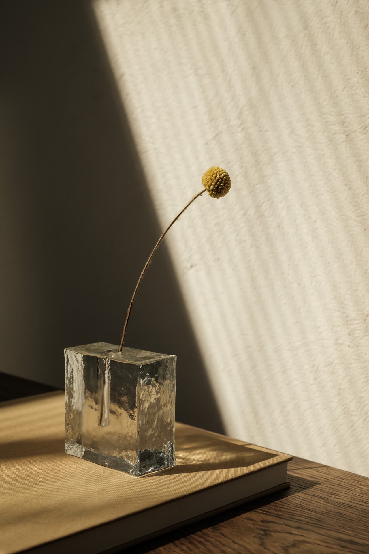 A glass vase with a dried flower in warm window light